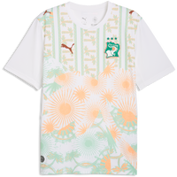Puma Men's Ivory Coast Away 2026 Stadium Jersey