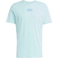 adidas Juventus Men's Seasonal Graphic Tee